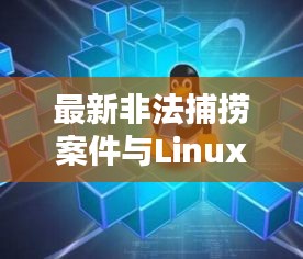 最新非法捕捞案件与Linux实时补丁实时性对比研究分析