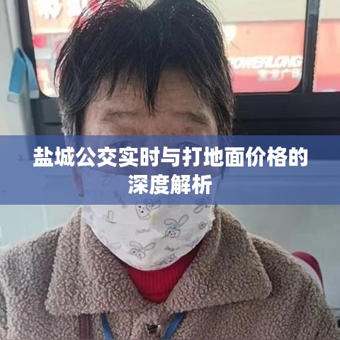 盐城公交实时与打地面价格的深度解析