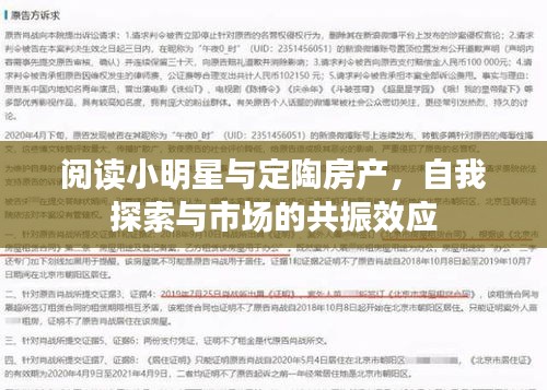 阅读小明星与定陶房产，自我探索与市场的共振效应