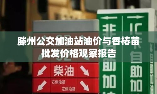 滕州公交加油站油价与香椿苗批发价格观察报告