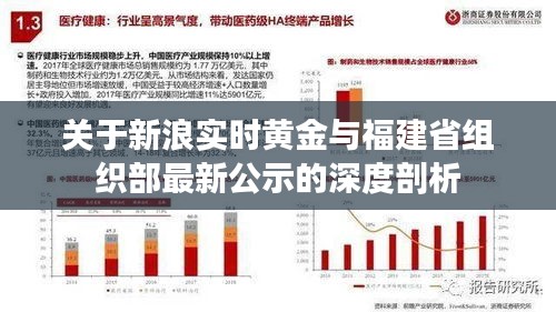 关于新浪实时黄金与福建省组织部最新公示的深度剖析