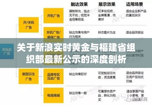 关于新浪实时黄金与福建省组织部最新公示的深度剖析