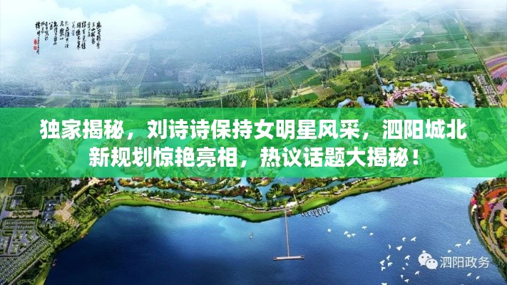 独家揭秘,刘诗诗保持女明星风采,泗阳城北新规划惊艳亮相,热议话题大揭秘!