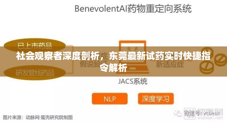 社会观察者深度剖析,东莞最新试药实时快捷指令解析