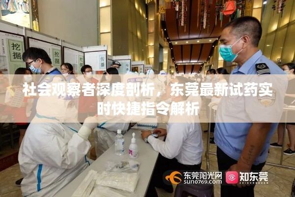 社会观察者深度剖析,东莞最新试药实时快捷指令解析