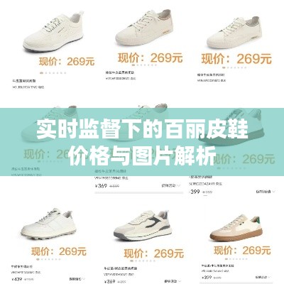 实时监督下的百丽皮鞋价格与图片解析