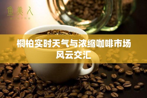 桐柏实时天气与浓缩咖啡市场风云交汇