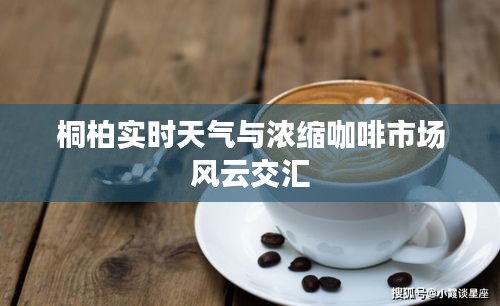 桐柏实时天气与浓缩咖啡市场风云交汇