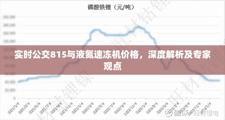 实时公交815与液氮速冻机价格,深度解析及专家观点