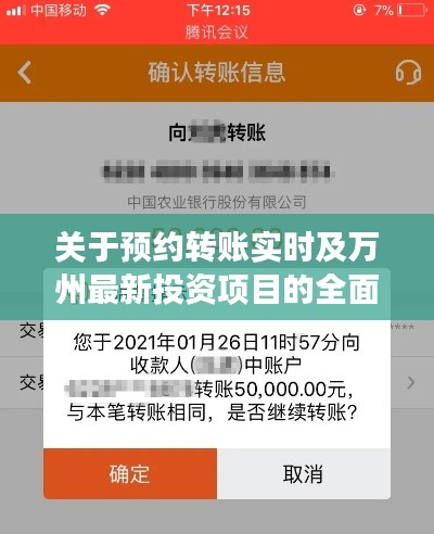 关于预约转账实时及万州最新投资项目的全面解读与风险预警