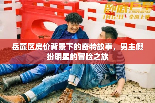 岳麓区房价背景下的奇特故事,男主假扮明星的冒险之旅