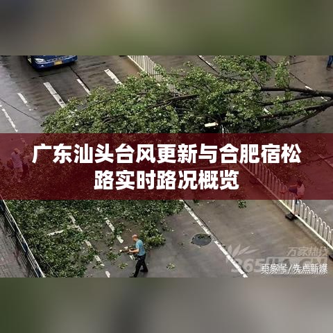 广东汕头台风更新与合肥宿松路实时路况概览
