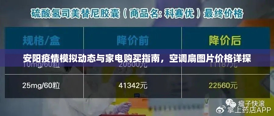 安阳疫情模拟动态与家电购买指南，空调扇图片价格详探