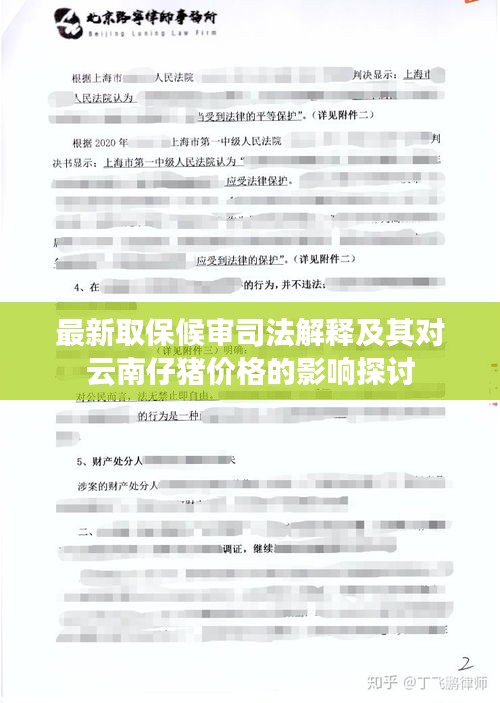 最新取保候审司法解释及其对云南仔猪价格的影响探讨