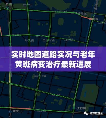 实时地图道路实况与老年黄斑病变治疗最新进展