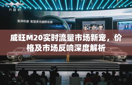 威旺M20实时流量市场新宠,价格及市场反响深度解析
