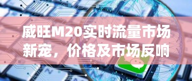 威旺M20实时流量市场新宠,价格及市场反响深度解析