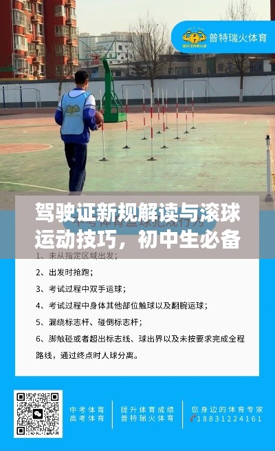 驾驶证新规解读与滚球运动技巧,初中生必备知识分享