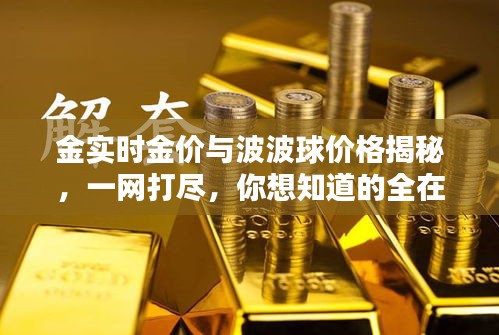 金实时金价与波波球价格揭秘,一网打尽,你想知道的全在这!