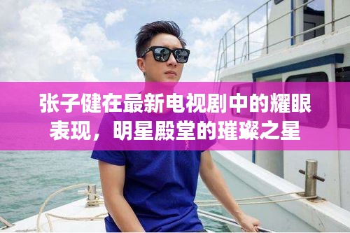张子健在最新电视剧中的耀眼表现,明星殿堂的璀璨之星