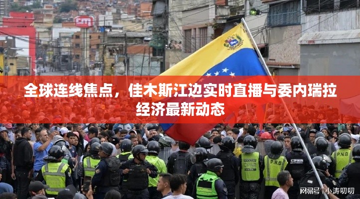 全球连线焦点,佳木斯江边实时直播与委内瑞拉经济最新动态