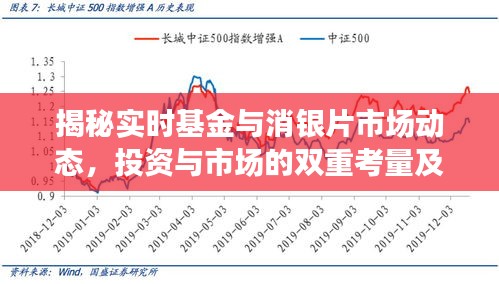 揭秘实时基金与消银片市场动态,投资与市场的双重考量及价格动态分析