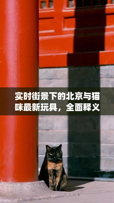 实时街景下的北京与猫咪最新玩具,全面释义、专家视角及虚假宣传风险预警