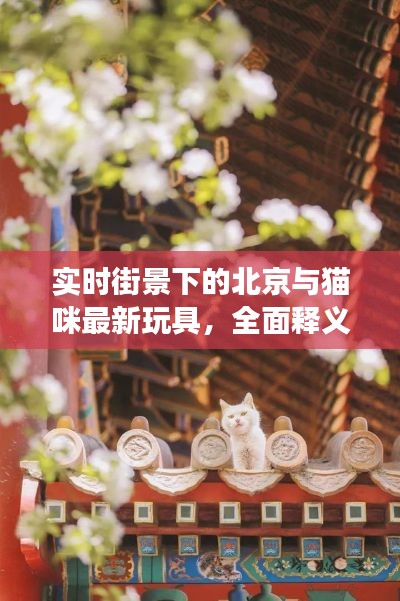 实时街景下的北京与猫咪最新玩具,全面释义、专家视角及虚假宣传风险预警