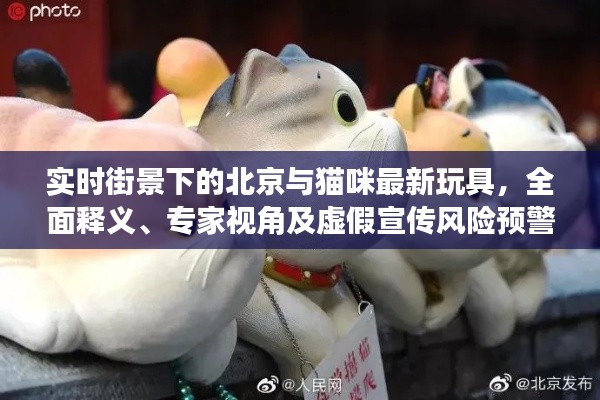 实时街景下的北京与猫咪最新玩具,全面释义、专家视角及虚假宣传风险预警