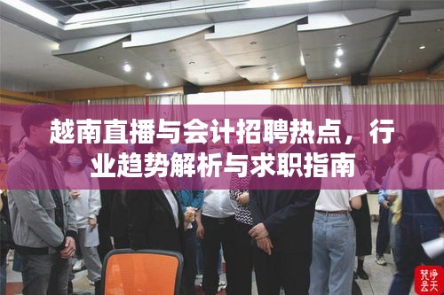 越南直播与会计招聘热点,行业趋势解析与求职指南