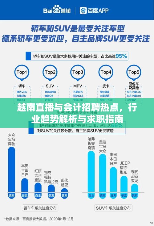 越南直播与会计招聘热点,行业趋势解析与求职指南