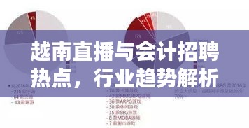 越南直播与会计招聘热点,行业趋势解析与求职指南
