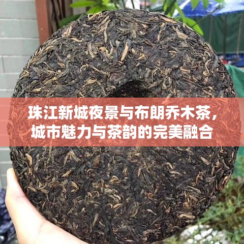珠江新城夜景与布朗乔木茶，城市魅力与茶韵的完美融合