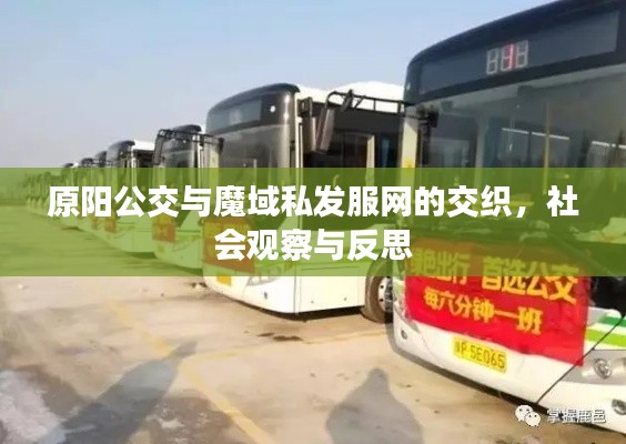 原阳公交与魔域私发服网的交织,社会观察与反思
