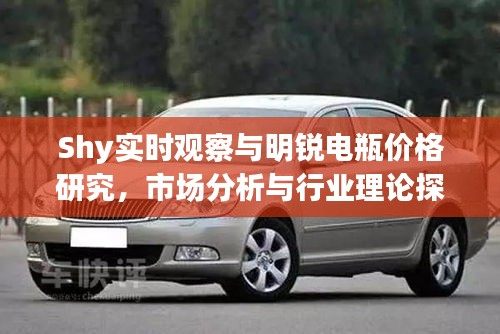 Shy实时观察与明锐电瓶价格研究，市场分析与行业理论探讨