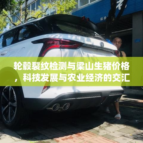 轮毂裂纹检测与梁山生猪价格，科技发展与农业经济的交汇观察