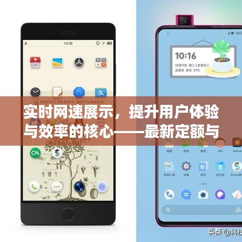 实时网速展示,提升用户体验与效率的核心——最新定额与锤子技术