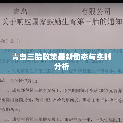 青岛三胎政策最新动态与实时分析