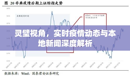 灵璧视角,实时疫情动态与本地新闻深度解析