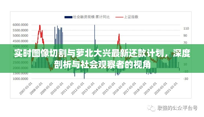 实时图像切割与萝北大兴最新还款计划,深度剖析与社会观察者的视角