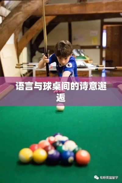 语言与球桌间的诗意邂逅