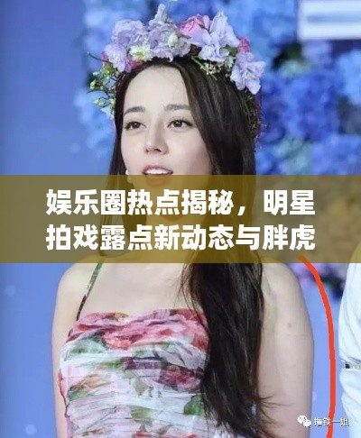 娱乐圈热点揭秘,明星拍戏露点新动态与胖虎最新消息解析