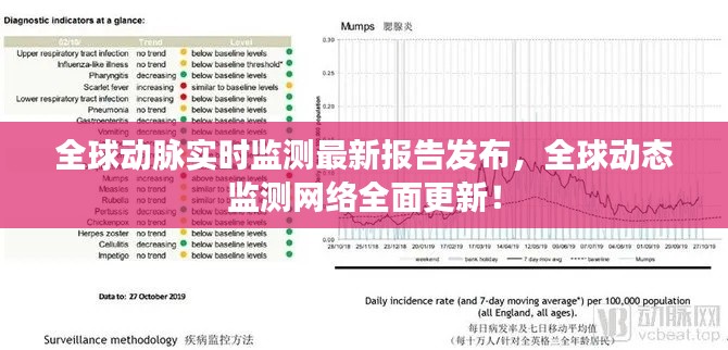 全球动脉实时监测最新报告发布，全球动态监测网络全面更新！