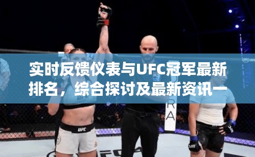 实时反馈仪表与UFC冠军最新排名,综合探讨及最新资讯一览