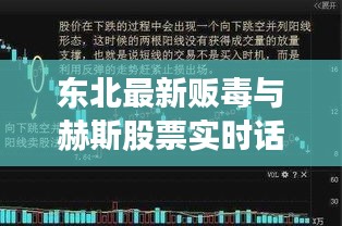 东北最新贩毒与赫斯股票实时话题深度探讨