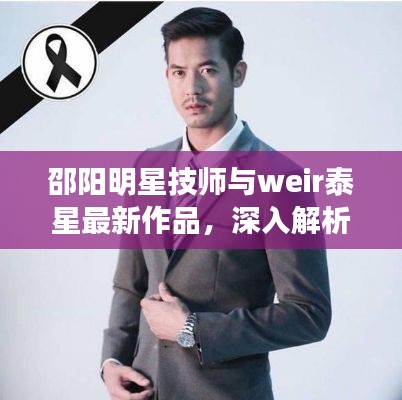 邵阳明星技师与weir泰星最新作品,深入解析、专家见解与防范指南