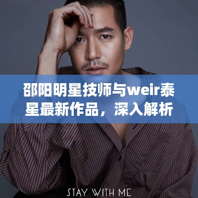 邵阳明星技师与weir泰星最新作品,深入解析、专家见解与防范指南