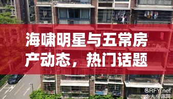 海啸明星与五常房产动态,热门话题聚焦二手房最新信息