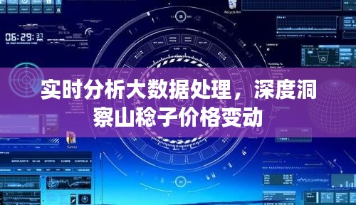 实时分析大数据处理,深度洞察山稔子价格变动