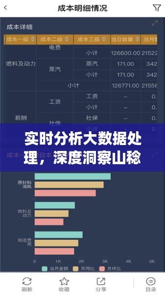 实时分析大数据处理,深度洞察山稔子价格变动